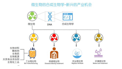 細(xì)胞工廠 PHA從實驗室到商業(yè)化的成長之路