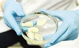 清華孫偉團隊 3D生物打印技術如何讓“打印”人體器官成為可能？
