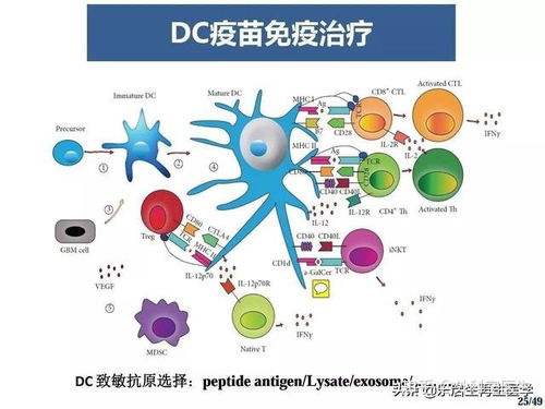 癌細(xì)胞第一次徹底全面曝露 細(xì)胞技術(shù)研發(fā)與應(yīng)用開啟新紀(jì)元