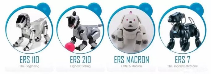 “人不如狗”？當(dāng)寵物市場超越婚介市場，我們該如何看待情感消費的變遷